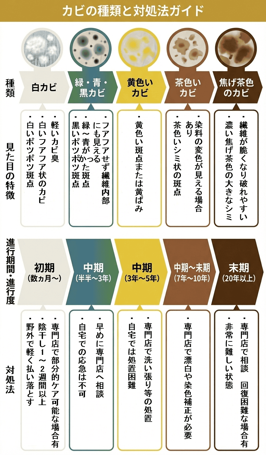 着物のカビの種類と対処法ガイド